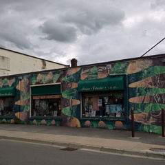 WP-20180728-15-32-26-Pro