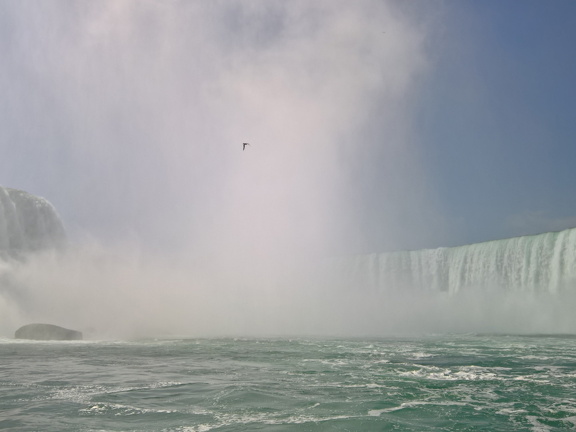 WP-20180729-10-58-43-Pro