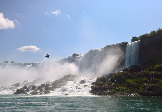 WP-20180729-11-05-58-Pro