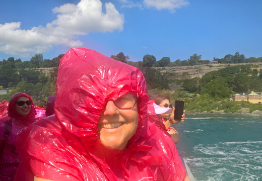 WP-20180729-11-07-01-Pro