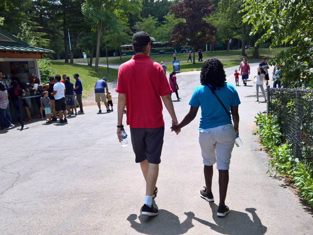 WP-20180729-13-03-52-Pro