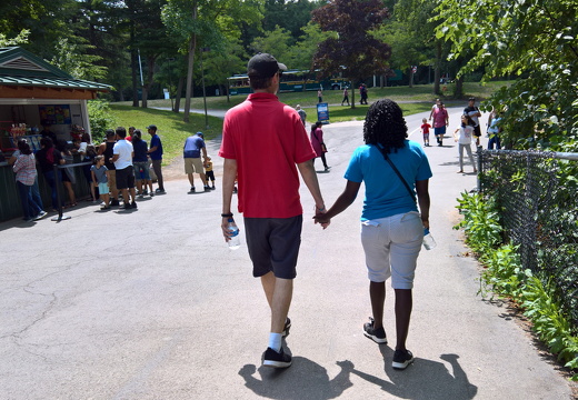 WP-20180729-13-03-52-Pro