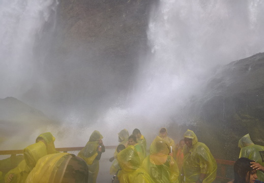 WP-20180729-16-27-51-Rich