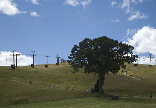 Rugged-Maniac-DSC-1345