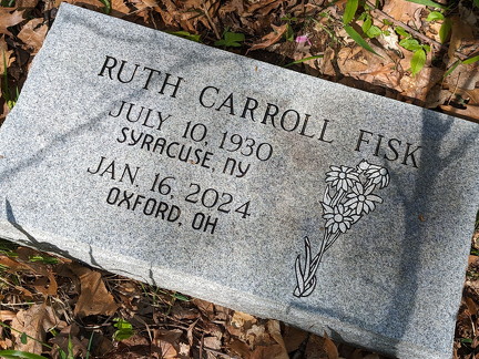 PXL 20240420 155447216