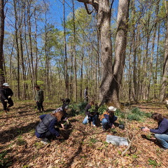 PXL 20240420 163636498