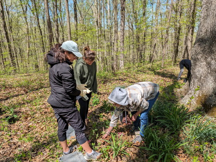 PXL 20240420 163737732