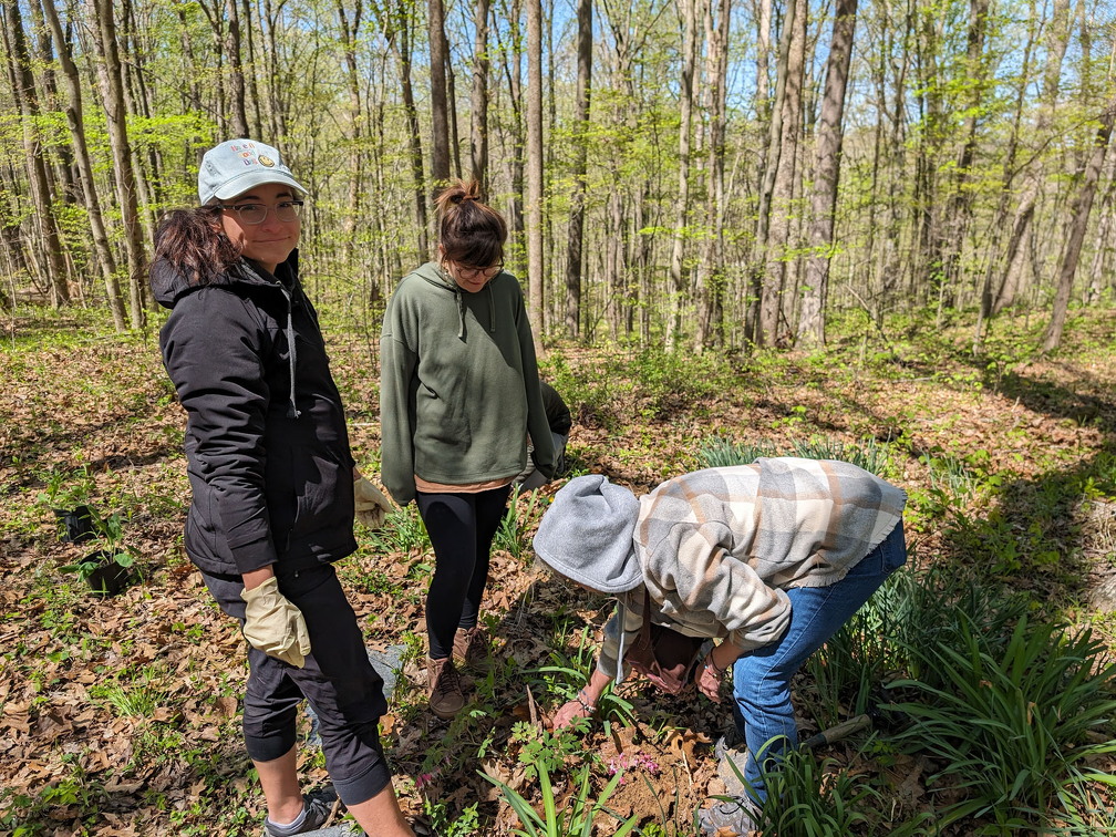 PXL 20240420 163741649