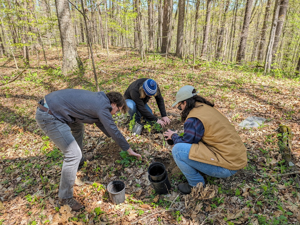 PXL 20240420 163817648