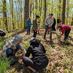 PXL 20240420 163836199