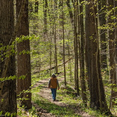 PXL 20240420 174706401