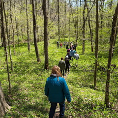 PXL 20240420 183239783