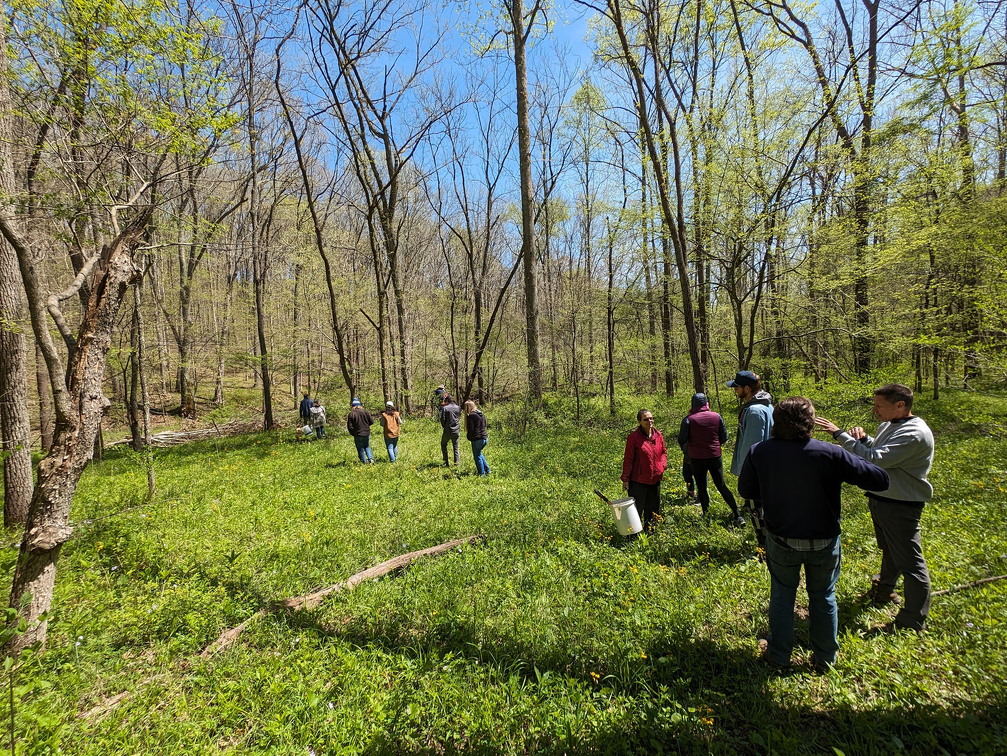 PXL 20240420 183311085