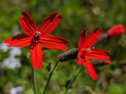 PXL 20240420 183354324