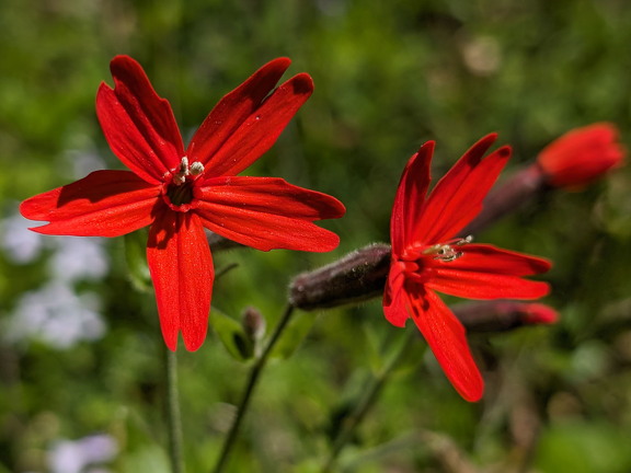 PXL 20240420 183354324