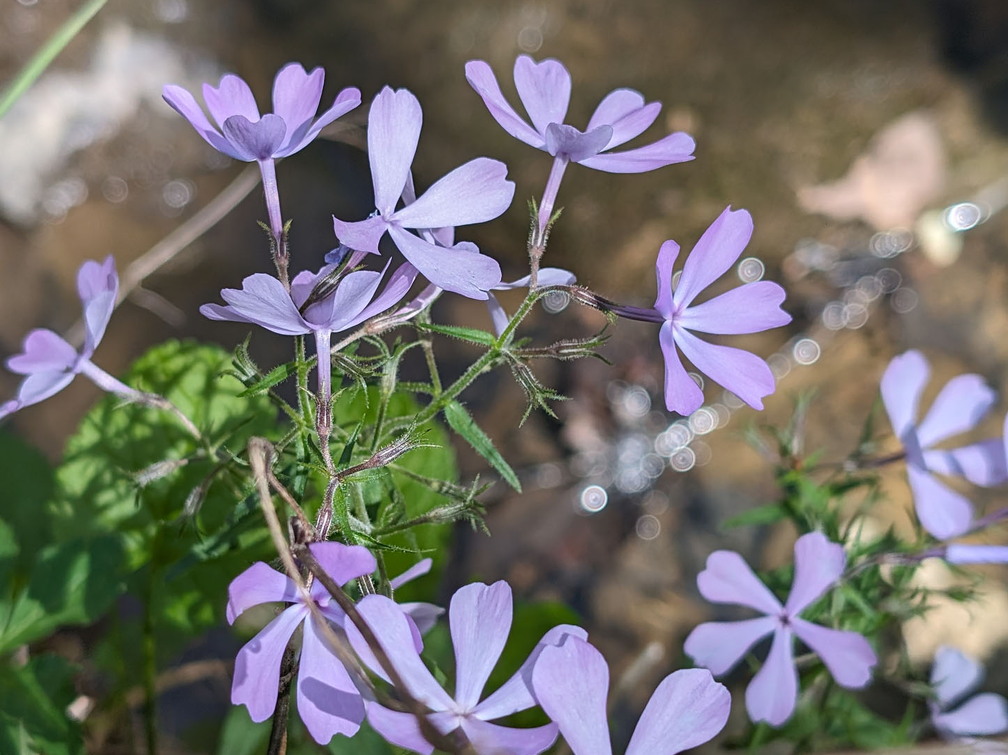 PXL 20240420 183620054