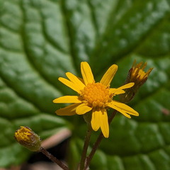 PXL 20240420 185049399