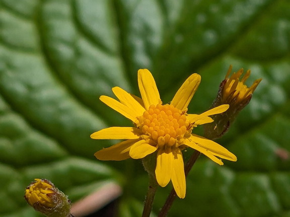 PXL 20240420 185049399