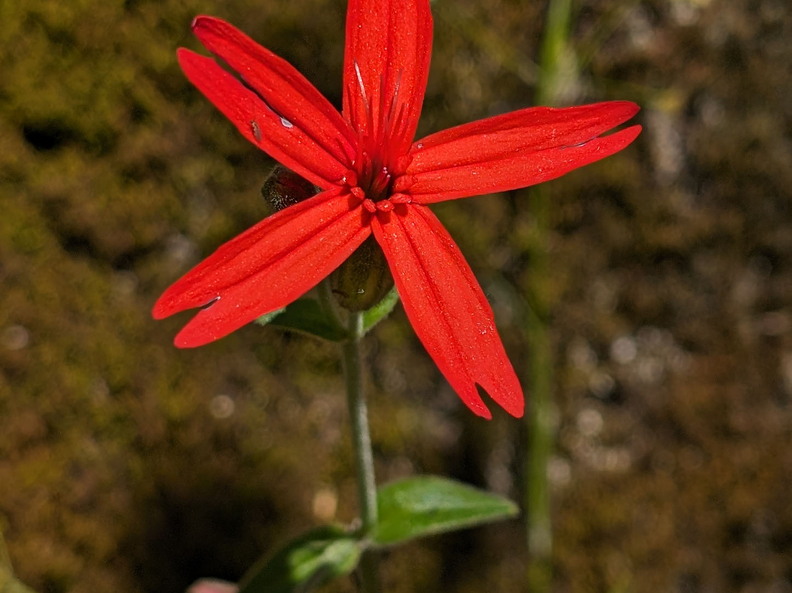 PXL 20240420 185144594