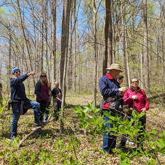 PXL 20240420 185529921