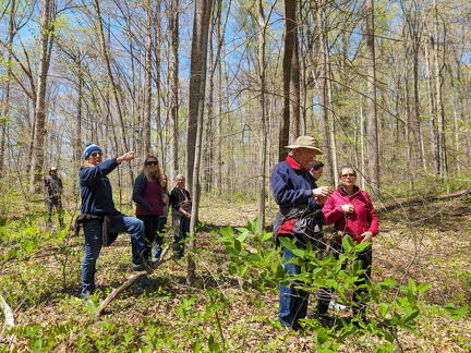 PXL 20240420 185529921