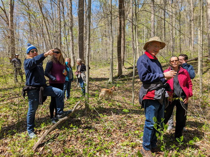 PXL 20240420 185539957