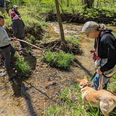 PXL 20240420 192009235