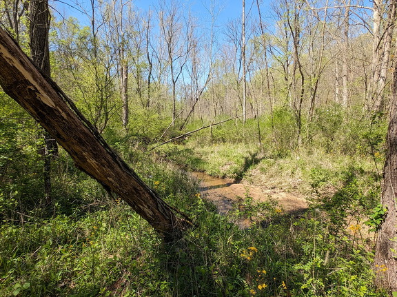 PXL 20240420 192328051