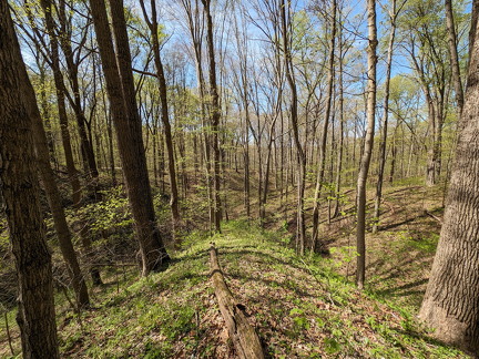 PXL 20240420 195601788