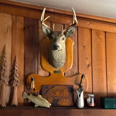 Mantle-Wassatch-Lake