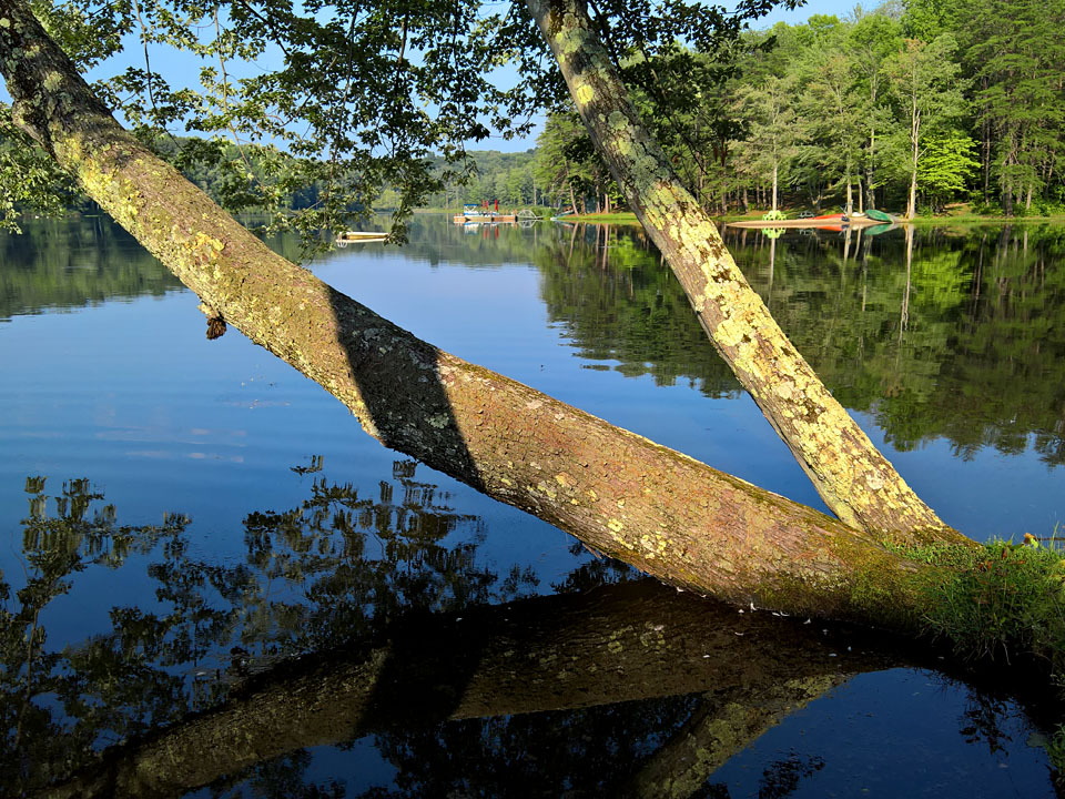 WP-20160804-18-31-52-Pro