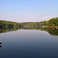 WP-20160804-18-36-35-Pro