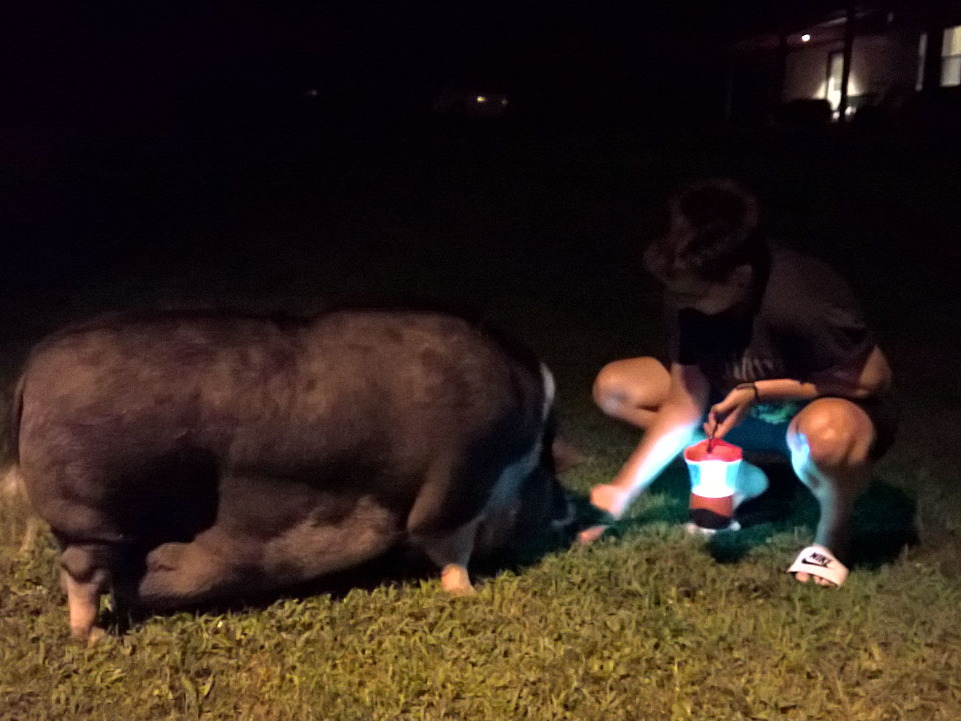 WP-20160804-22-00-54-Pro