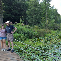 WP-20160805-11-09-23-Pro