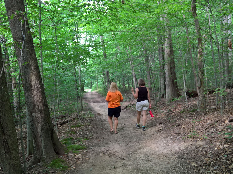 WP-20160805-11-21-05-Pro