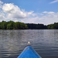 WP-20160805-13-20-02-Pro