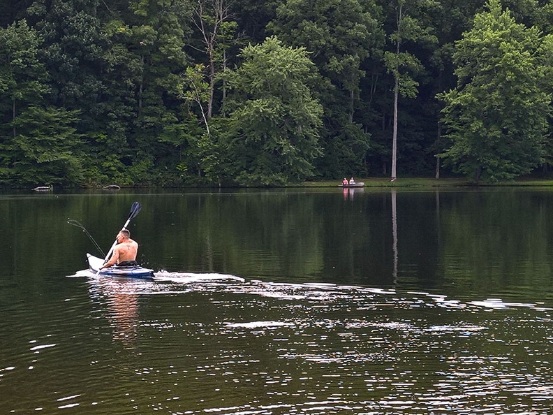 WP-20160805-17-36-07-Pro