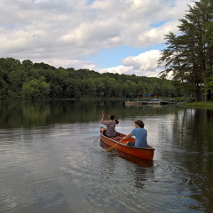 WP-20160805-17-44-27-Pro