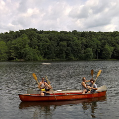 WP-20160806-11-52-25-Pro