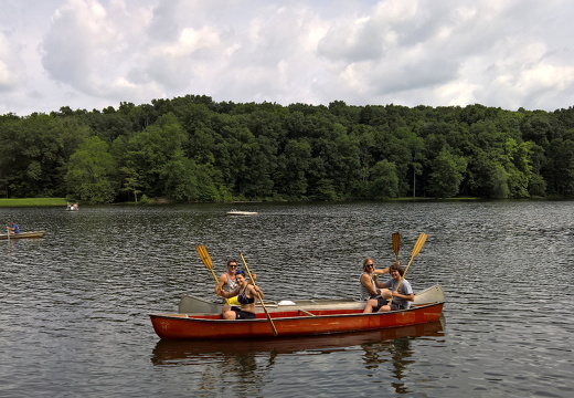 WP-20160806-11-52-25-Pro