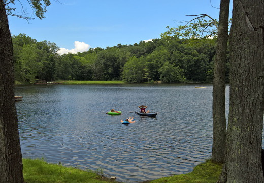 WP-20160806-15-12-09-Rich