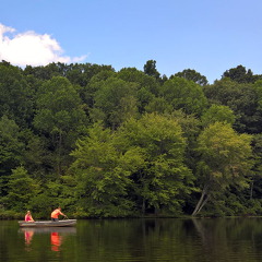 WP-20160806-15-49-43-Rich