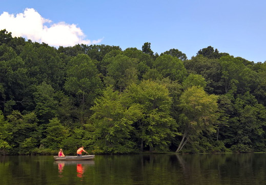 WP-20160806-15-49-43-Rich