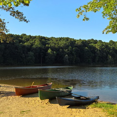 WP-20160806-18-46-50-Rich