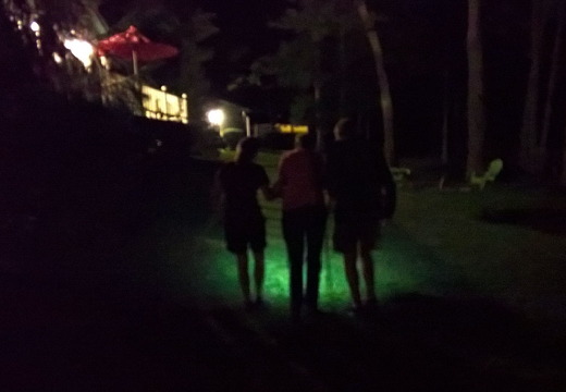 WP-20160806-22-02-24-Rich