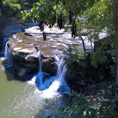 WP-20160807-11-50-35-Pro