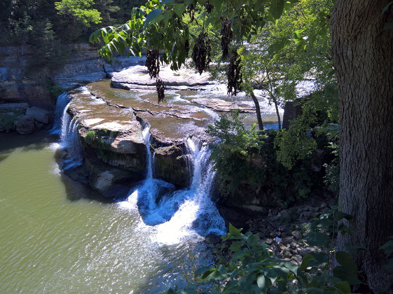 WP-20160807-11-50-35-Pro