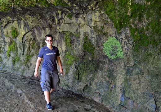 WP-20160807-12-24-49-Rich