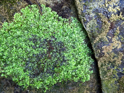 WP-20160807-12-39-20-Rich