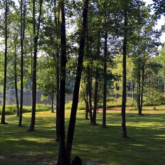 WP-20170810-18-44-15-Rich